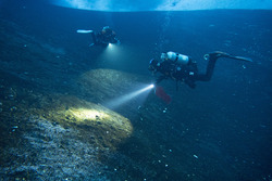 Scientific scuba divers use bright lights and cover lots of terrain in search for pycnogonids to collect. Turtle Rock, Antarctica. Photo by Timothy R. Dwyer.