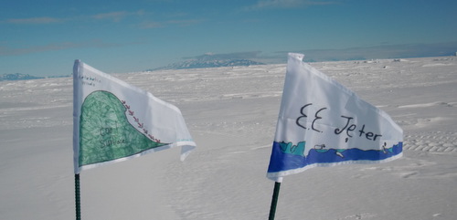 Wind flags