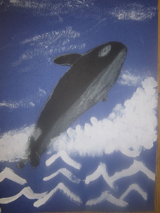 Orca drawing 