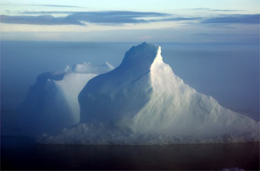 icebergs in the fog on the Ross Sea