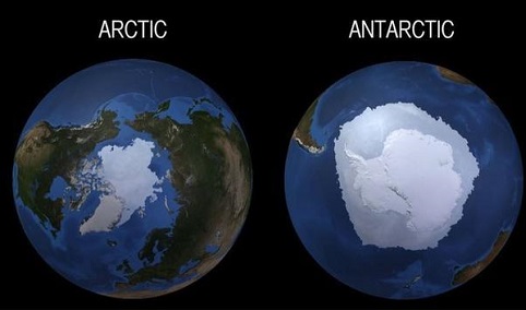 Arctic vs Antarctic