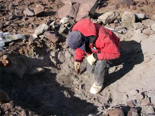 Dave Marchant in Soil Pit