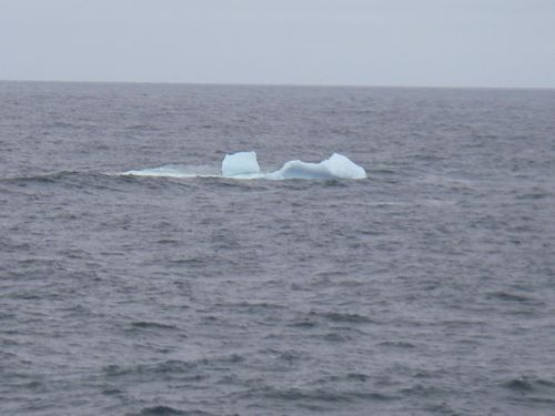 My first iceberg!