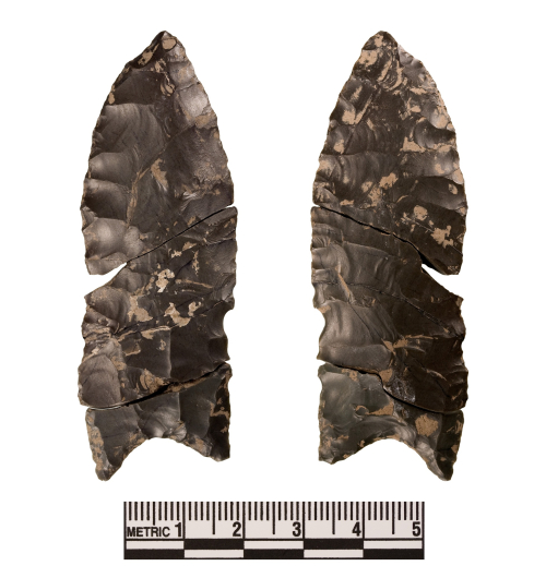 Fluted projectile point from the Raven Bluff site.