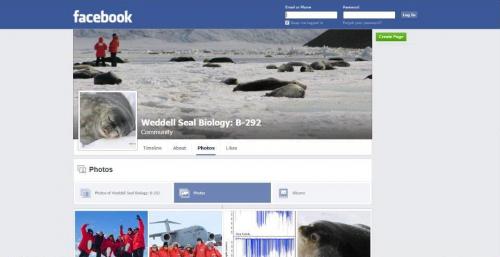Weddell Seal Biology Facebook page