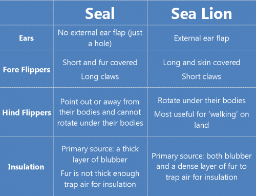 Seal and sea lion chart