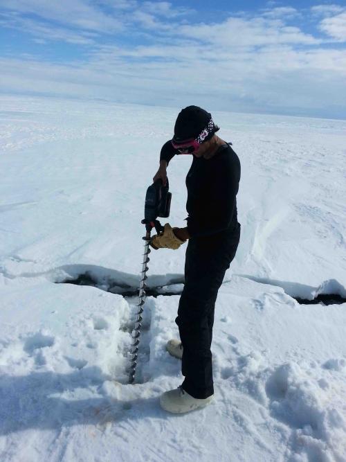 Drilling into sea ice