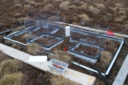 Experimental drying plots on the tundra