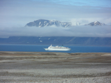 A cruise ship passes by in the fjord.