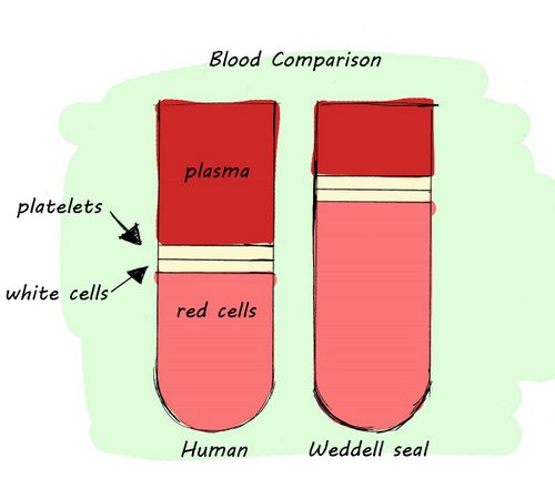 Compare blood