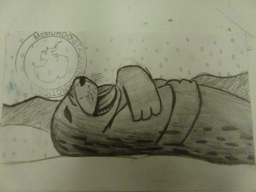 Happy Weddell drawing