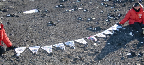 Flags for penguins