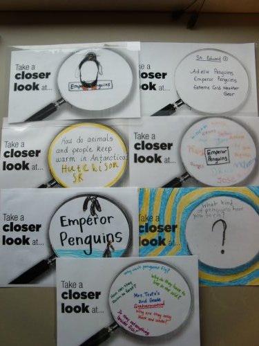 Closer Look - Emperor penguins