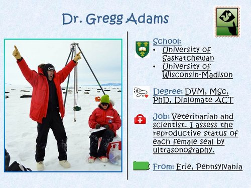 Meet Dr. Gregg Adams – Veterinarian