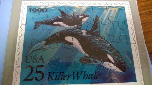 Killer whale postcard puzzle