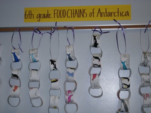 20-november-2011-second-antarctica-r-a-w-challenge-winners-polartrec