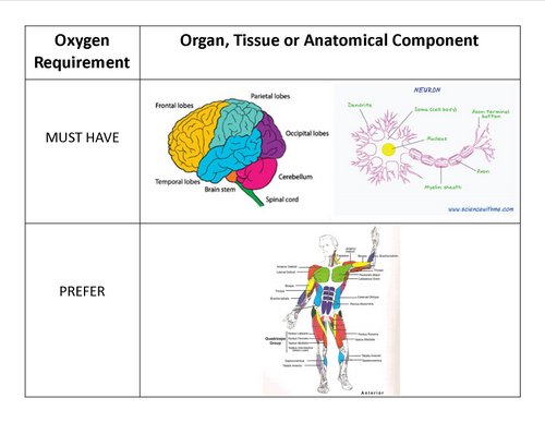 Oxygen Requirement Chart