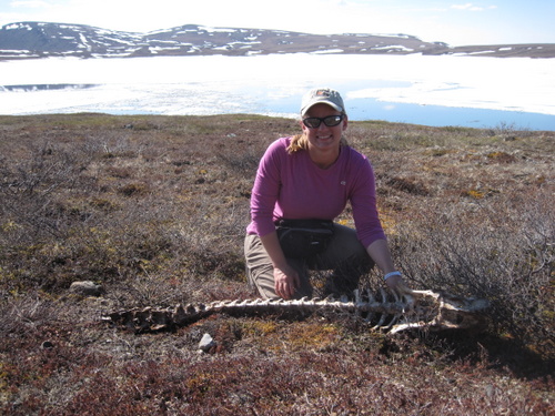 Alicia with caribou skeleton