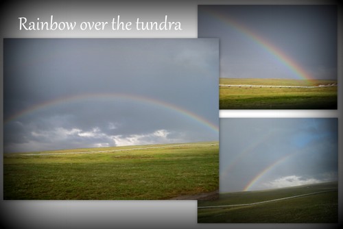 Rainbow over tundra