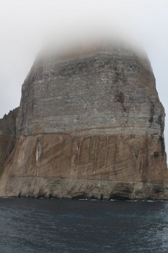 Foggy cliffs