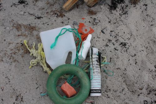 Plastic Found on hike at Arctic Harbour