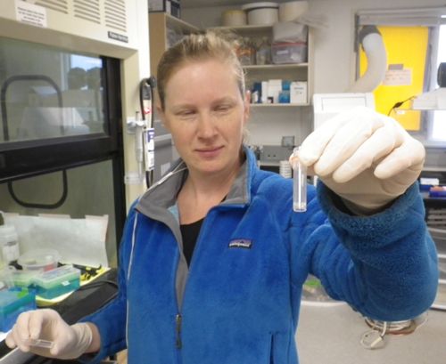 Michelle with a centrifuged vial containing a pellet of DNA material.