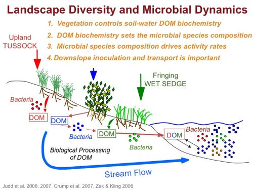 Landscape Diversity and Microbial Dynamics Diagram.