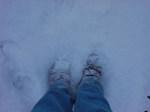 Snow shoes.