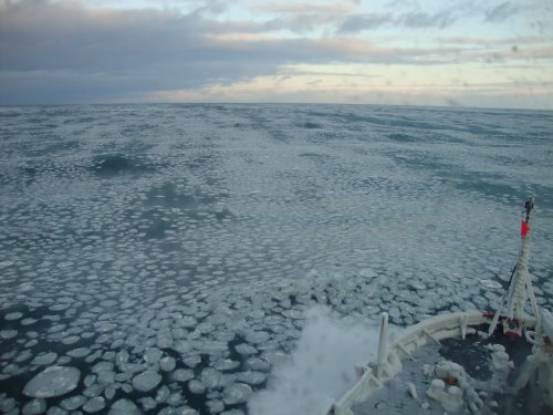USCG Healy in first year ice in the Chukchi Sea