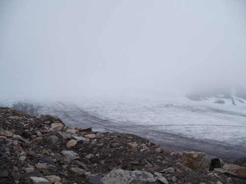 A low visibility day on Linne Glacier!