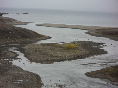 Where the river outlet from Lake Linne meets the ocean.