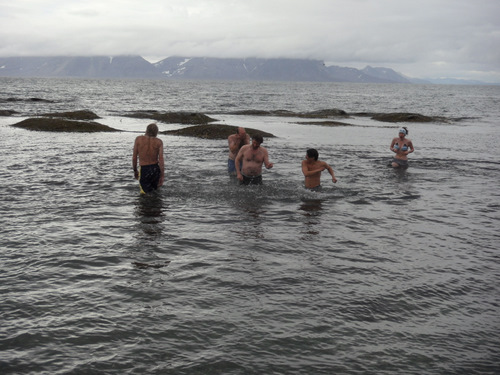 The north of the arctic circle swim.