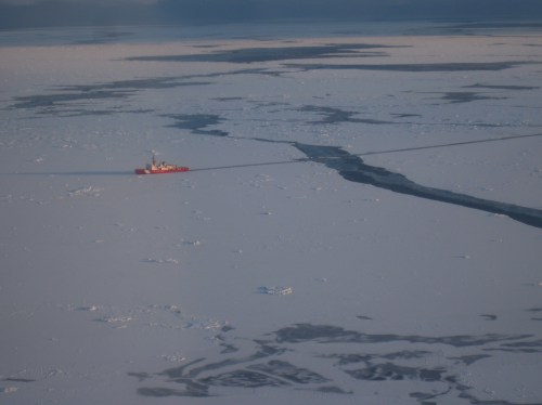 Polar Sea in the ice