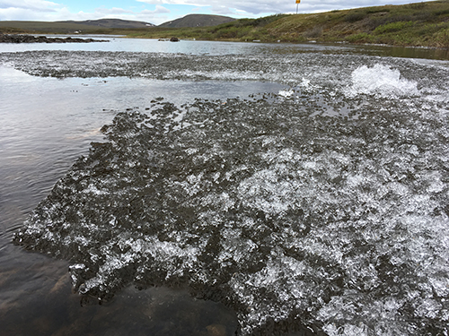 Ice on Toolik Outlet 