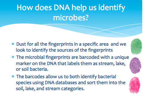 DNA helps us identify microbes. 