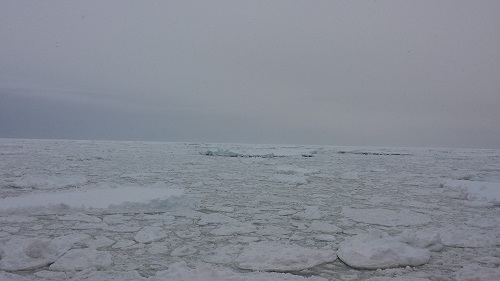 Sea ice cover