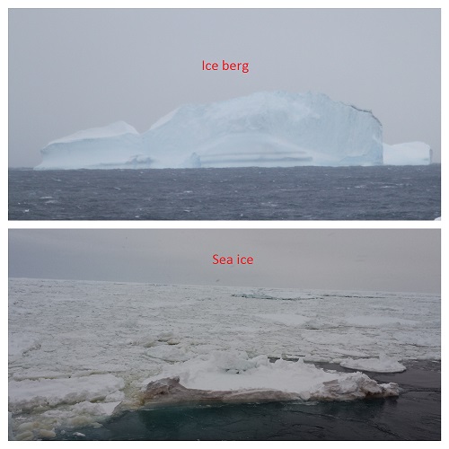 Icebergs vs. sea ice
