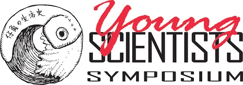 YSS logo