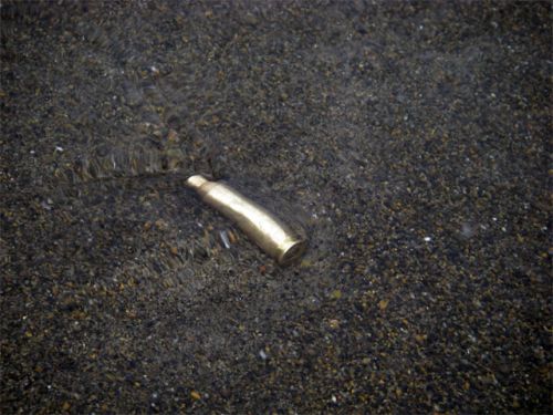 A Bullet Casing From a Rifle