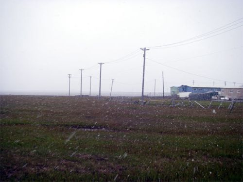 Snowflakes Streaking Across the Tundra