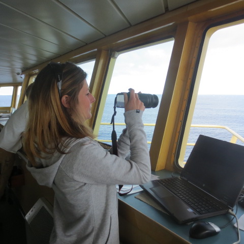 Dr. Andrea Walters snaps a photo of a pod of seals from the bridge.