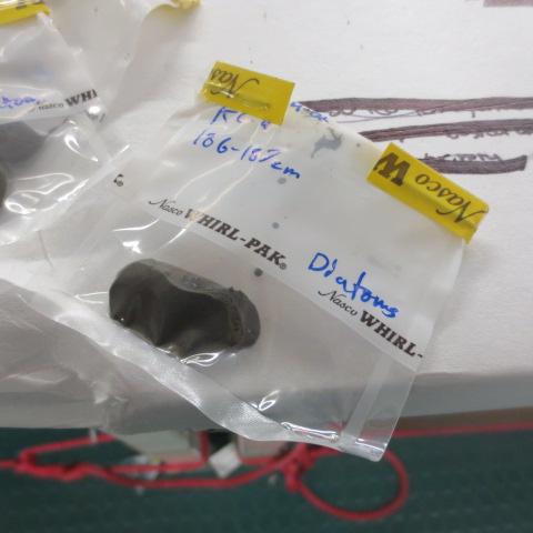 Sediment sample labelled for future diatom analysis
