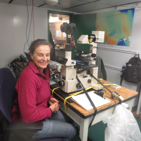 Dr. Leanne Armand using an inverted microscope to find plankton