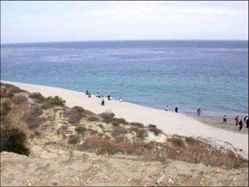 Sand Dunes on Santa Rosa Island