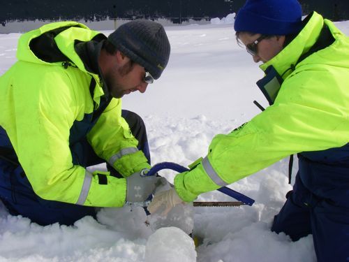 Cutting samples from a sea ice core
