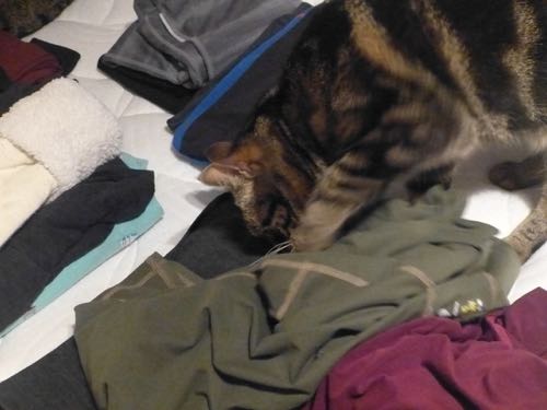 Mars digging in clothes