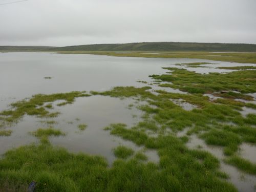 Kotzebue's lagoon