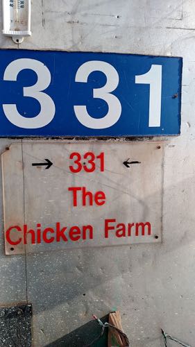 The Chicken Farm Building 331