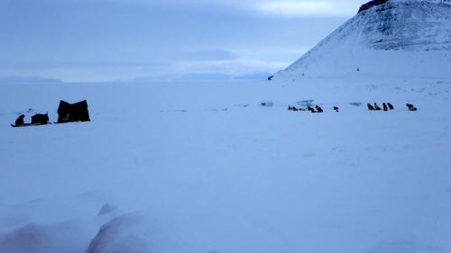 Greenlandic hunters and their sled dogs camp out.
