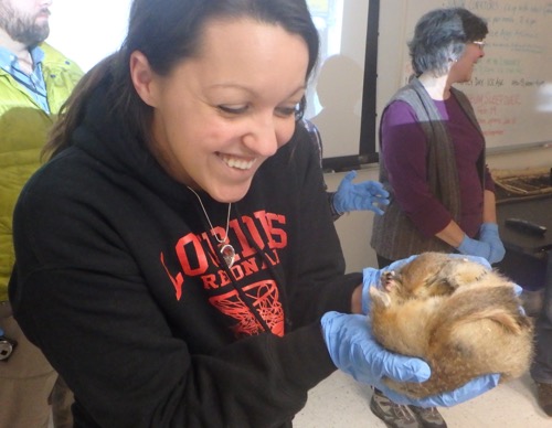 Kelly McCarthy holds an arctic ground squirrel.